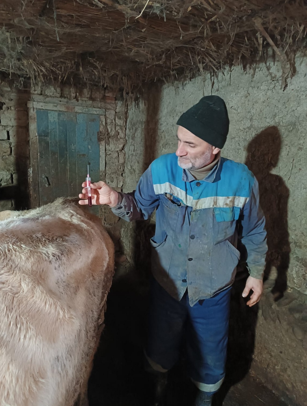 Ветеринарные мероприятия в Гумбетовском районе